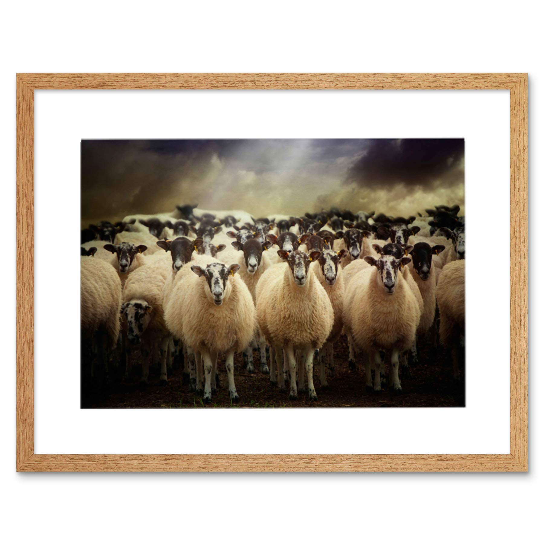 Wee Blue Coo Sheep Flock Farm Animal Photo Wood Frame Picture Gift Framed Wall Art Print