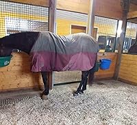 Vista 4 de Gancho para cubo de alimentación de caballo, soporte para cubo de agua para caballo/suministros estables (paquete de 2)