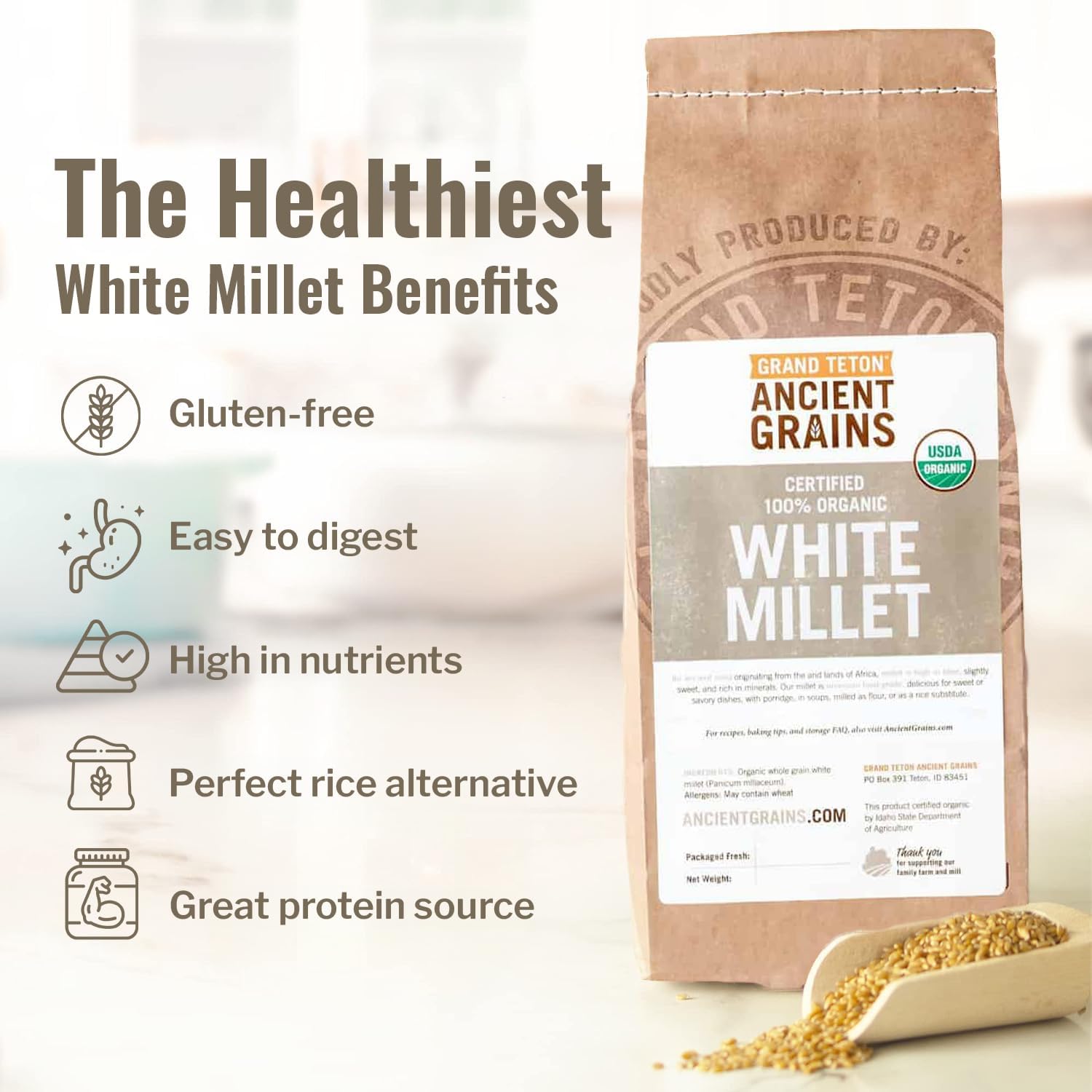 Organic White Millet by Ancient Grains | ed,