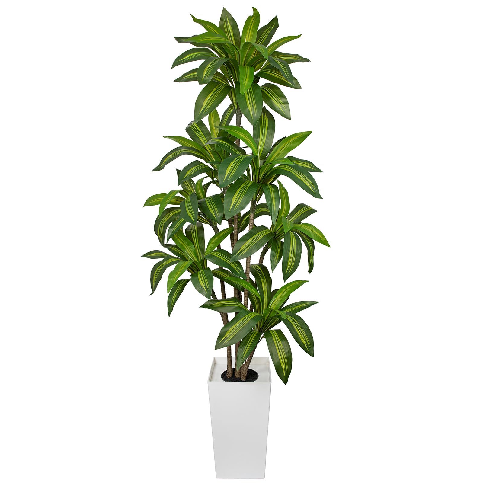 Briful Künstlicher Drachenbaum Große Kunstpflanzen, 180 cm Dekorative Kunstbaum als Indoor Bodenpflanze mit Weißem Topf, Dekopflanze für Wohnzimmer Büro Flur