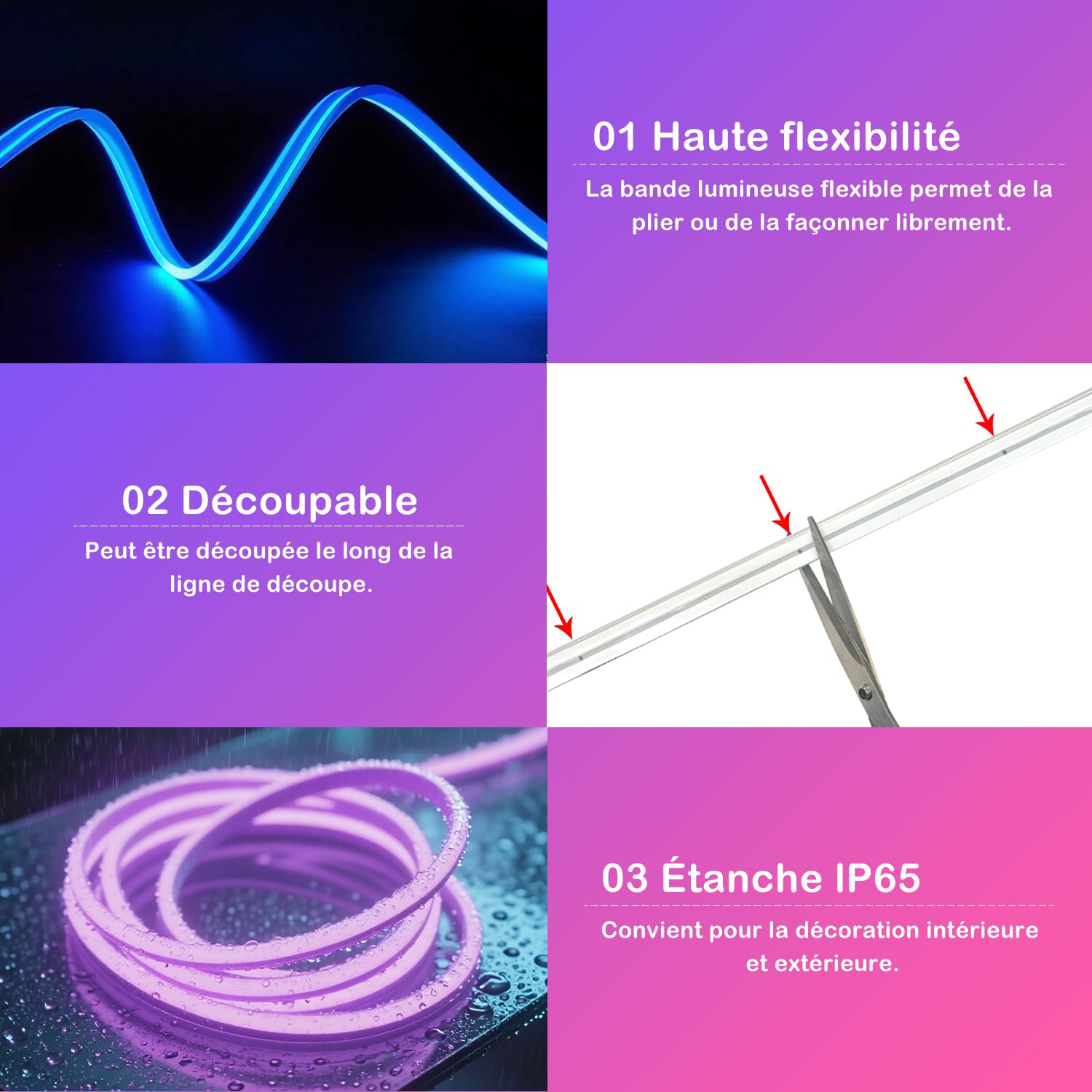 Ruban LED RGB 10M 840 LEDs Bande LED Bluetooth IP67 avec Adaptateur 24V 1.5A CE Contrôle App pour Décoration Jardin Terrasse Extérieur