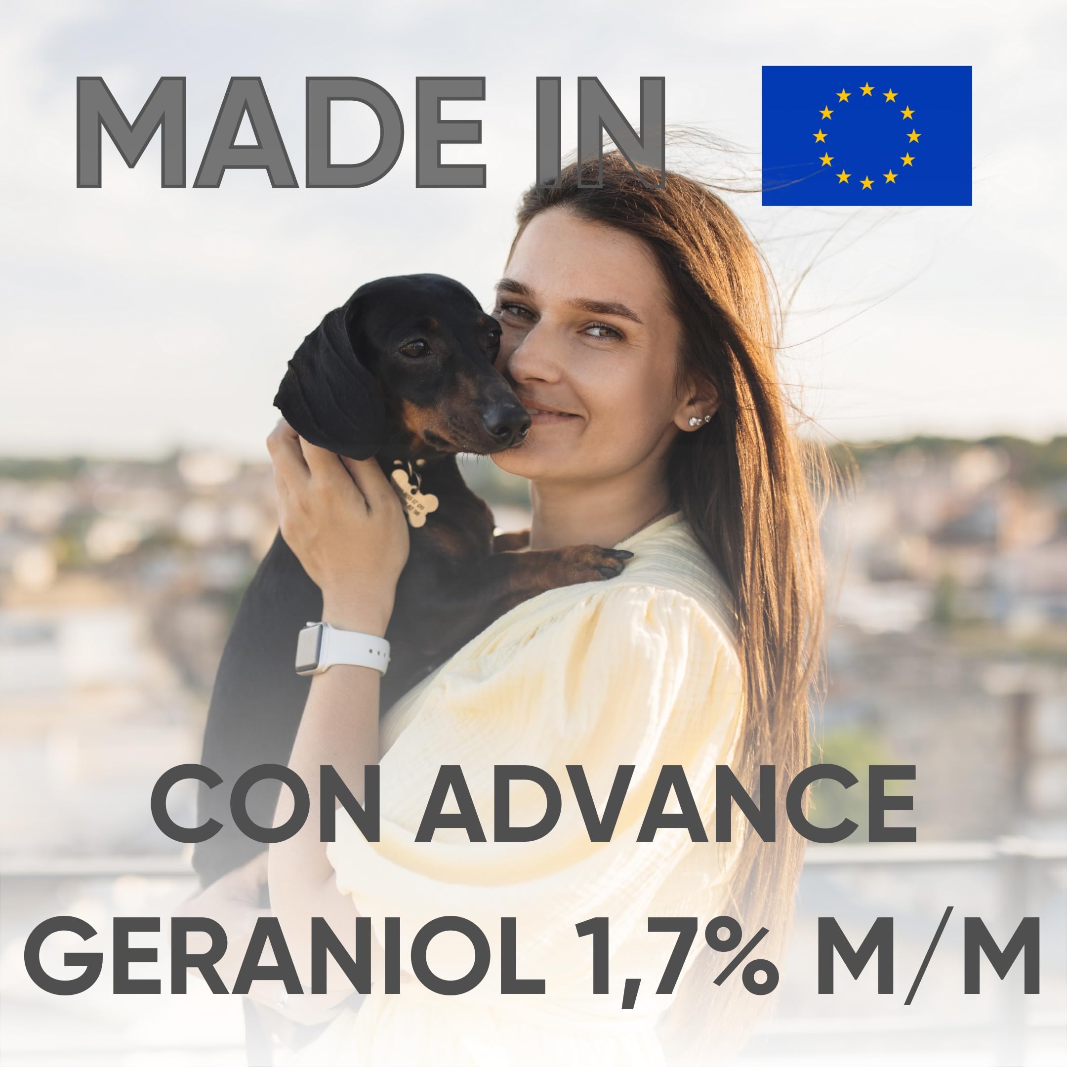 Collare Antiparassitario per Cani - Super Bau Bau, Confezione da 2, Antipulci, Antizecche, Anti Zanzare, Impermeabile, Efficace per 12 Mesi, 38cm per Cani fino a 8kg