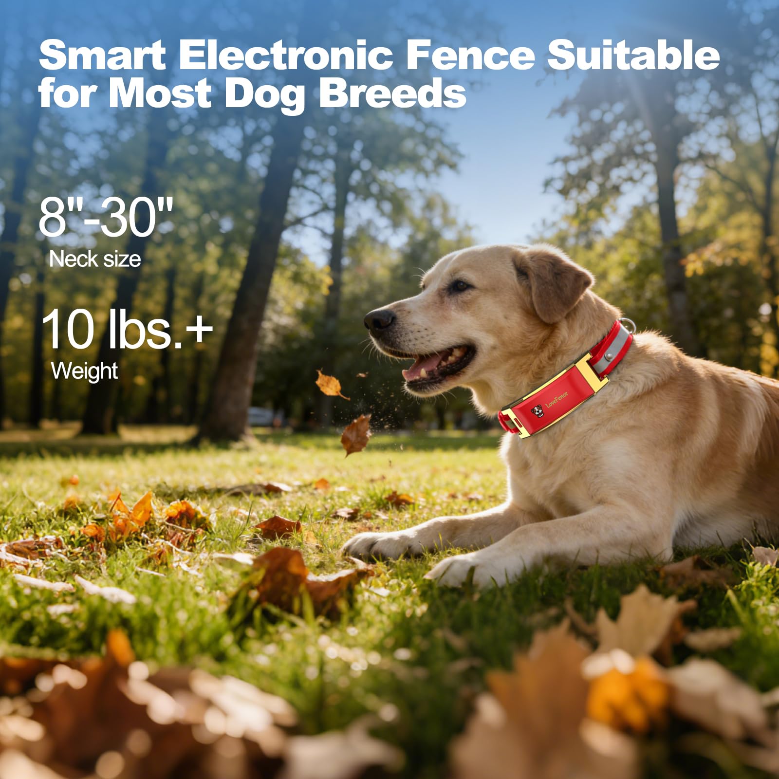 Wireless Electric GPS Dog Collar Fence for Dog with Free App: Upgrade Invisible Pet Shock Barrier Containment System Yard Outdoor Perimeter - Stubborn Dog Train Bluetooth Collar for Dog Parent - image 6