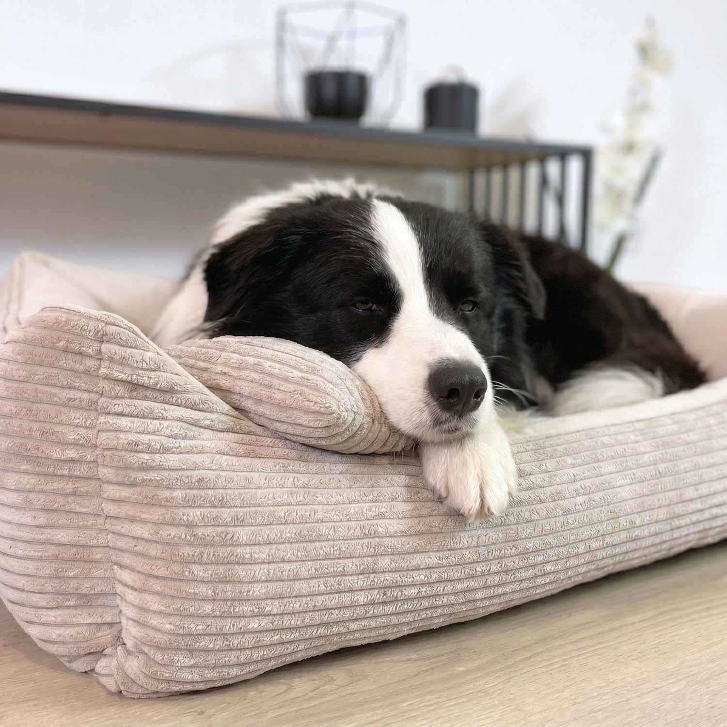 4L Textil Molly Cord Hundebett Hundekorb mittelgroße Hunde Hundekörbchen | Mit Bezug & Reißverschluss, Maschinenwaschbar