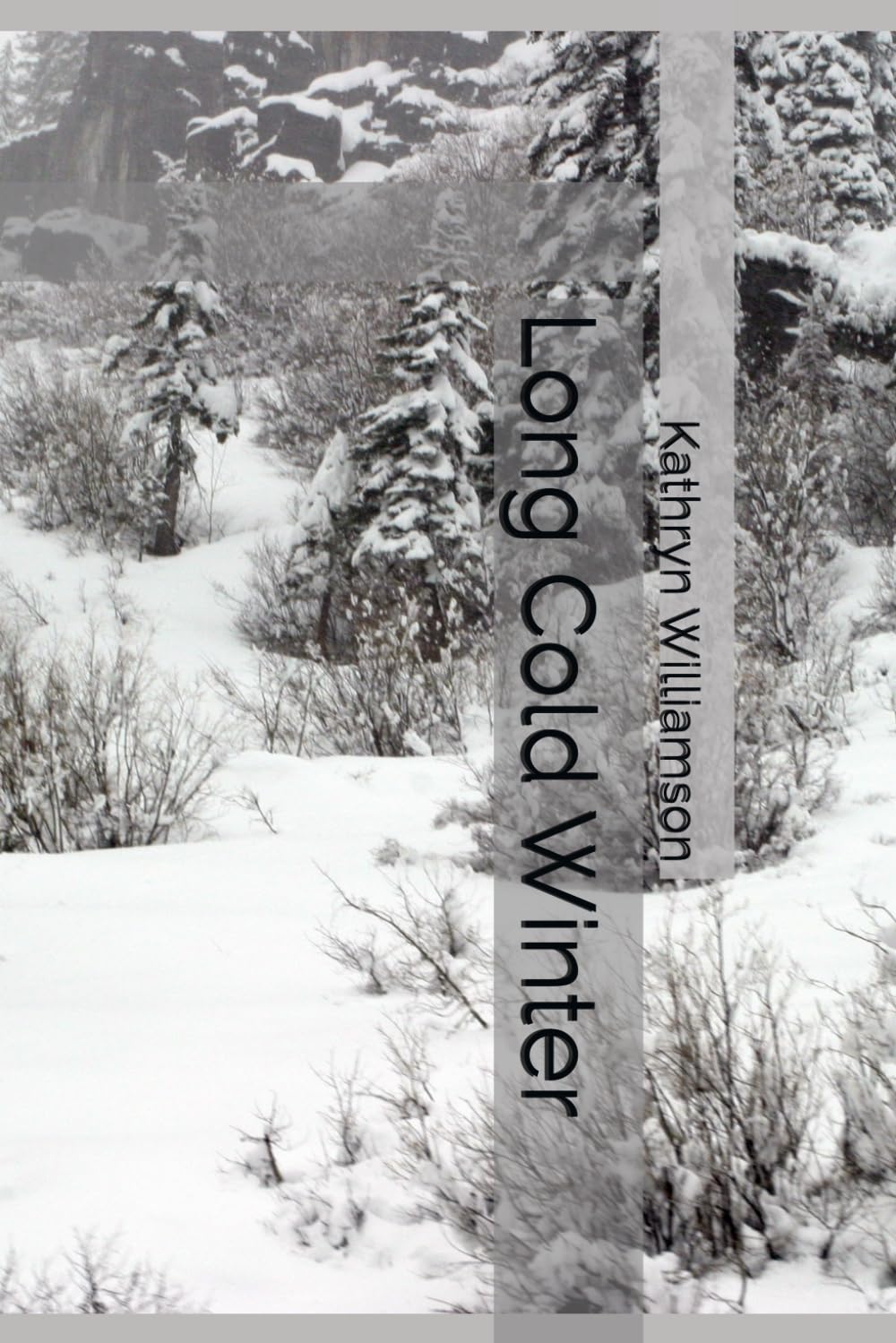 Long Cold Winter