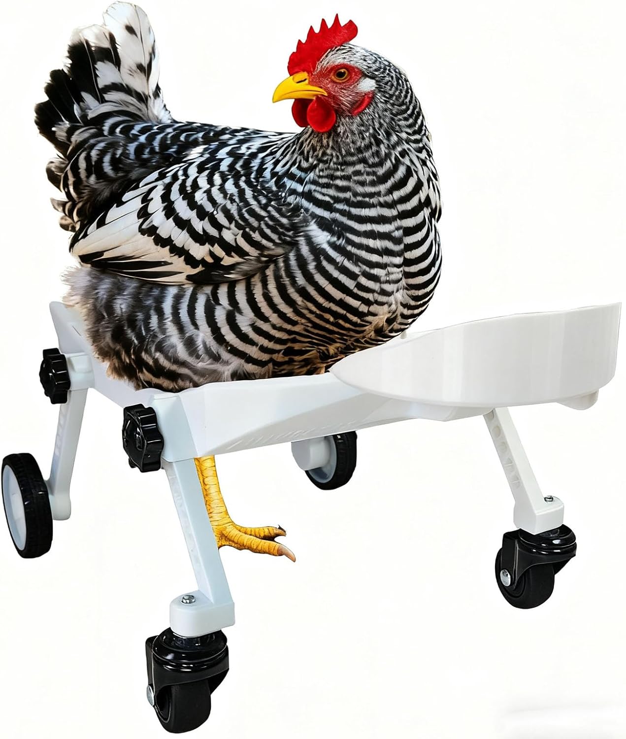 Adjustable Small-Scale Pet Chicken Wheelchair - Small Pet Poultry Mobility Aid Cart, Adjustable Size for Comfortable Use, Supports Injured/Disabled Poultry to Move Freely