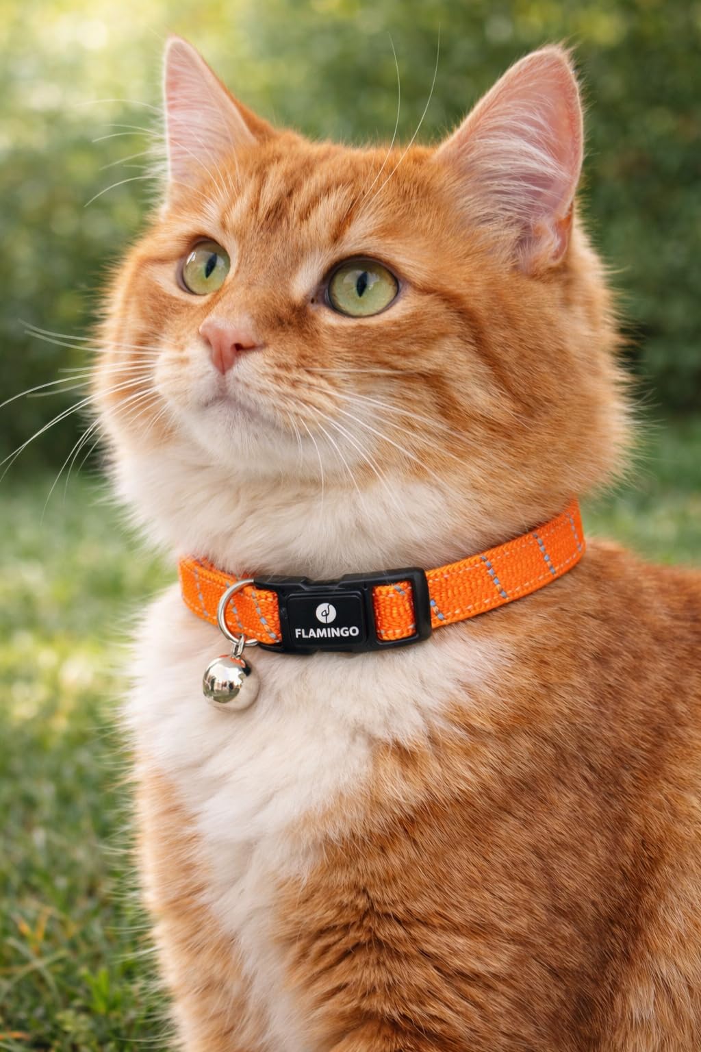 collare gatto - Elza arancione 20–34 cm – nylon elastico riflettente con campanellino