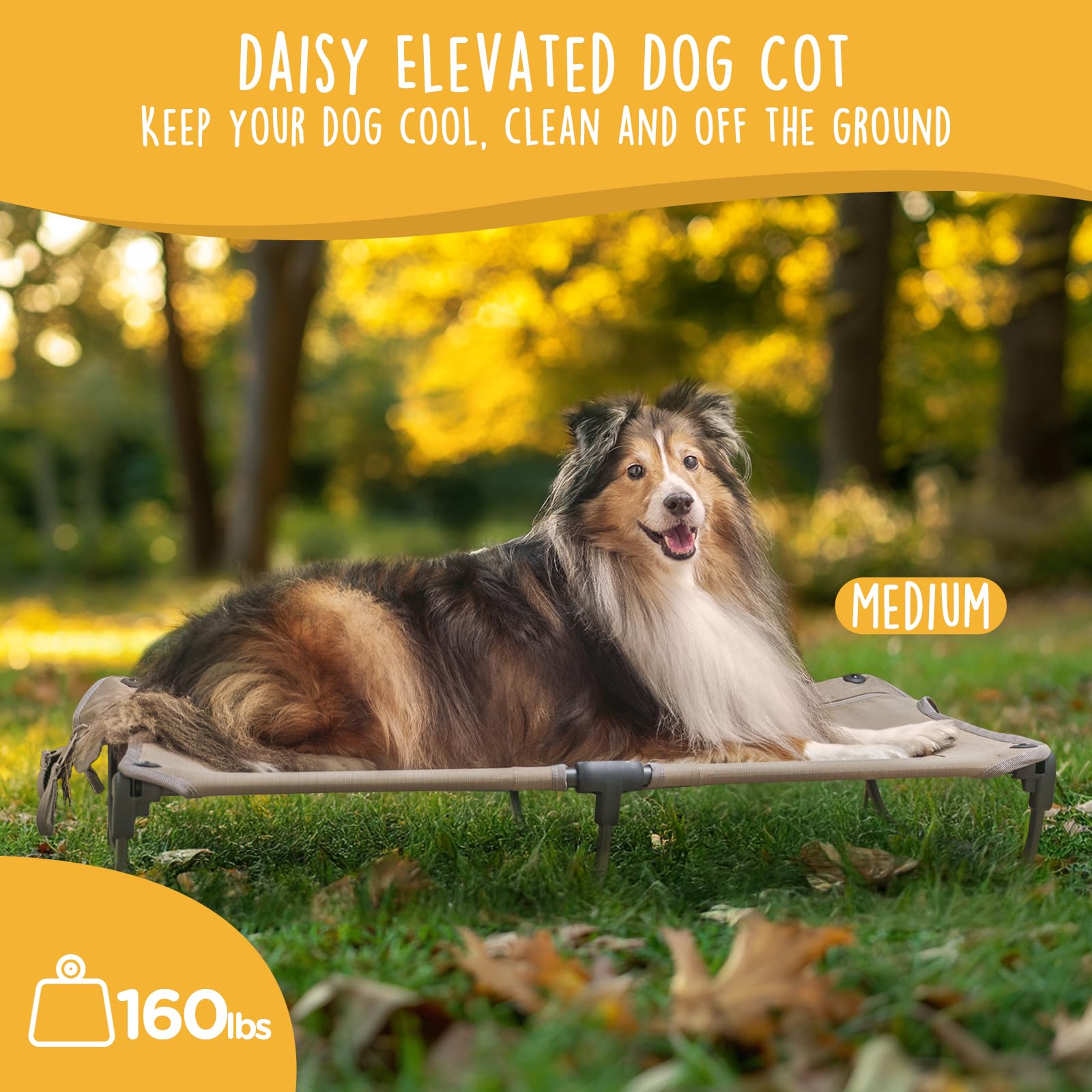 Daisy Cot, Medium Foldable Elevated Dog Bed, Portable Raised Outdoor Folding Dog Cot, Cooling, Chew Proof, Waterproof, Heavy Duty Up to 160 lbs for Camping/Home, Brown, 32"x 19"x6" - image 2