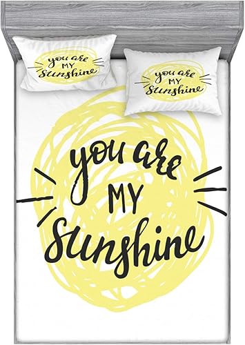 Miniatura 23 de Ambesonne Juego de sábanas bajeras y fundas de almohada, dibujos de aviones antiguos, vuelos clásicos con fechas, estilo vintage, diseño nostálgico,