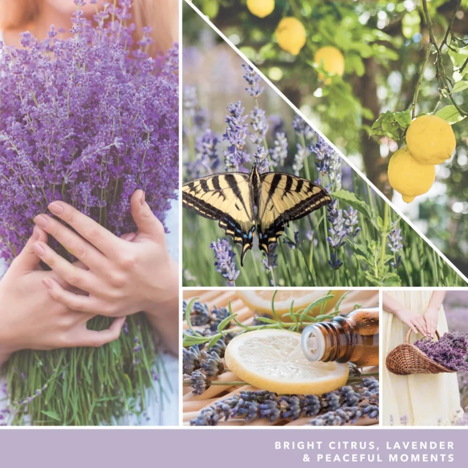 Yankee Candle Świeca wotywna wypełniona cytryną lawendą