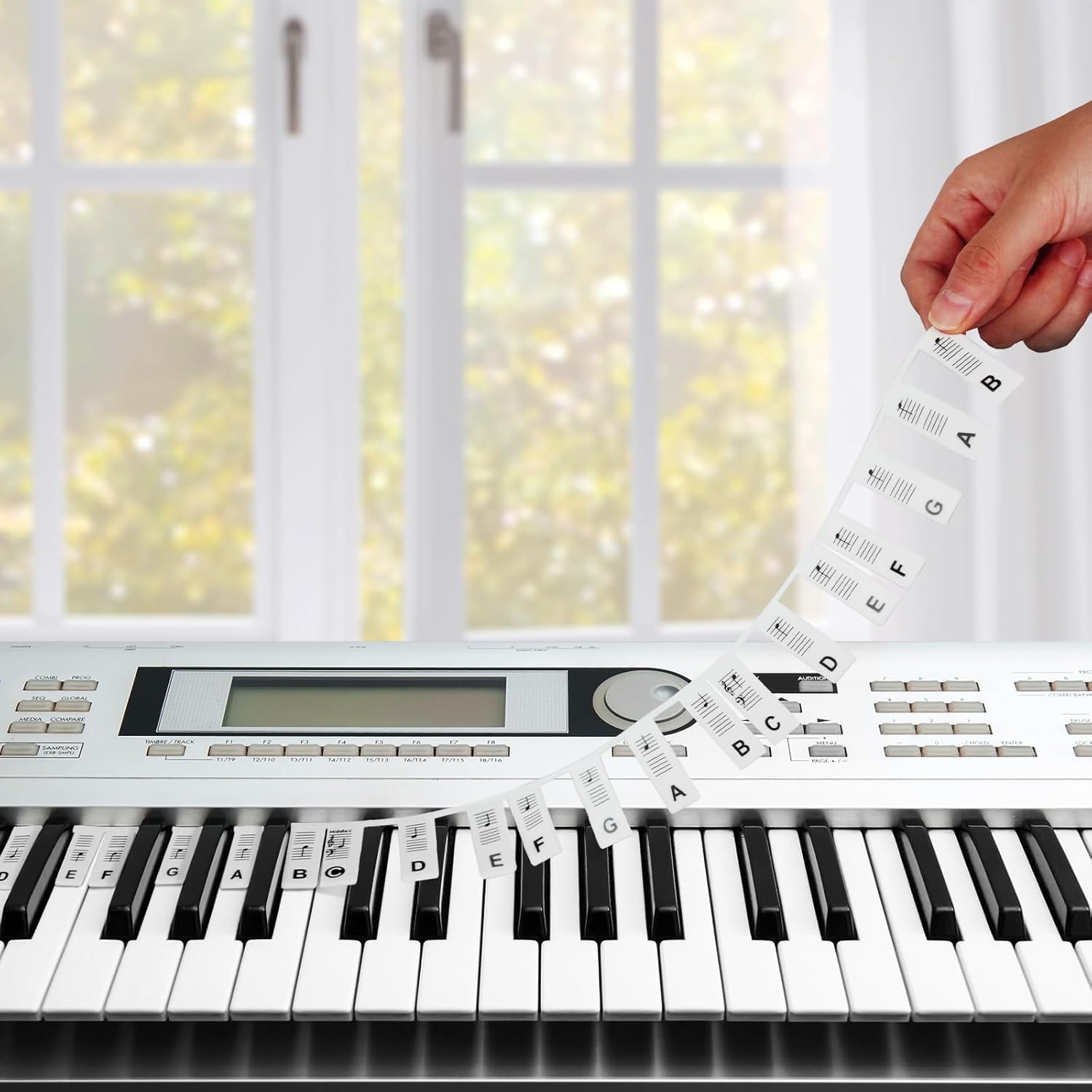 Removable Piano Keyboard Note Labels, Piano Key Music Notes Letter