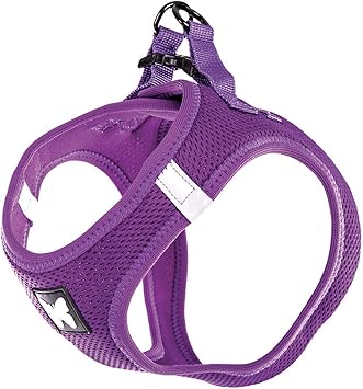 Martin Sellier Harnais Chien Mesh Haute Qualite A Repartition Uniforme Grand Confort Boucle Rapide Bandes Reflechissantes M Violet Amazon Fr Animalerie Martin Sellier Harnais Chien Mesh Haute Qualite A Repartition Uniforme Grand Confort Boucle Rapide Bandes Reflechissantes M Violet Amazon Fr Animalerie