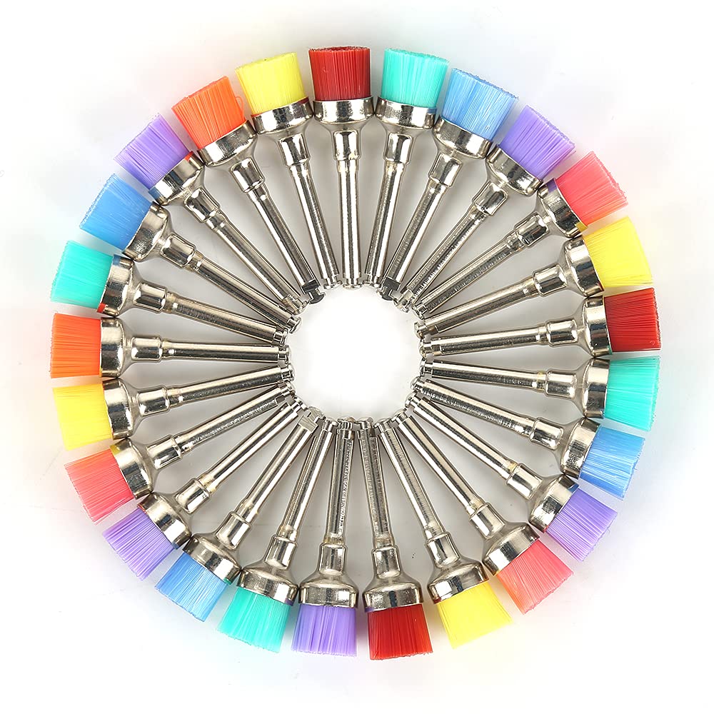 100 PCS Disposable Flat Type Dental Color Nylon Polishing Brush with Storage Case : Industrial & Scientific