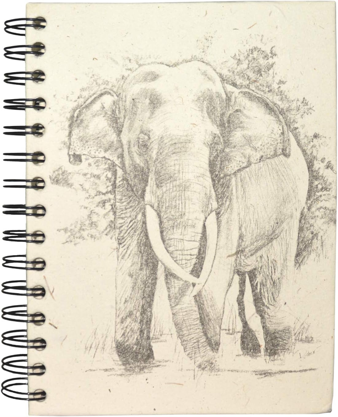 MR. ELLIE POOH Elephant Dung Paper Handmade Elephant