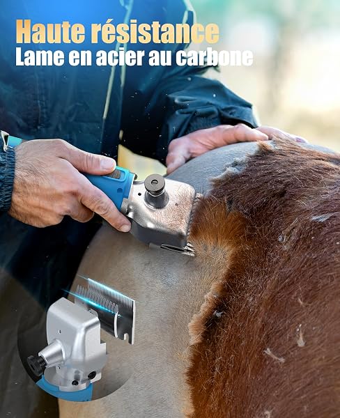oneisall tondeuse cheval 2 batteries, tondeuse professionnelle pour cheveux épais et emmêlés, sans fil pour chevaux avec moteur puissant de 2400 PRM/MIN, pour tous les poils du corps (Bleu) - 4