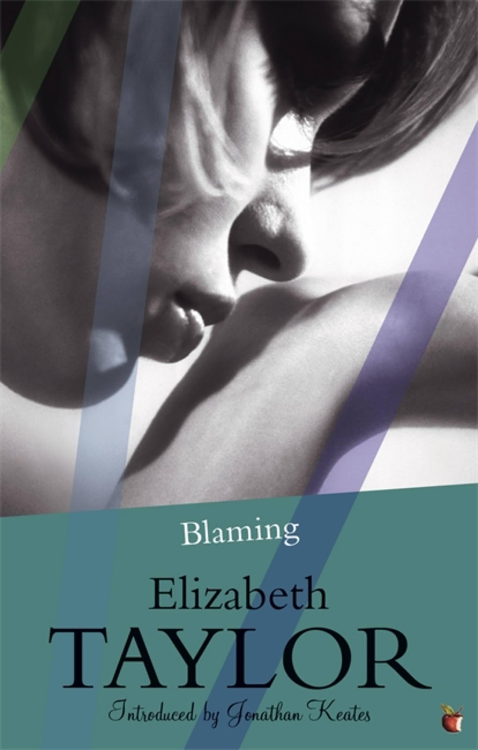 Blaming by Elizabeth Taylor (Paperback Book)