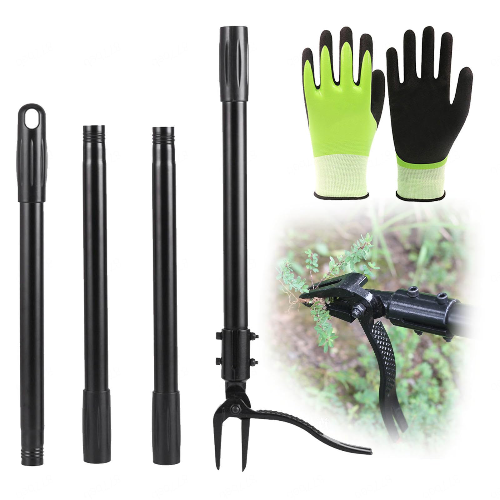 Herramientas De Jardin, Longitud 160cm con 4 Garras de Acero Inoxidable y Pedal Escardador Malas Hierbas para Desmalezado de Jardín y Césped