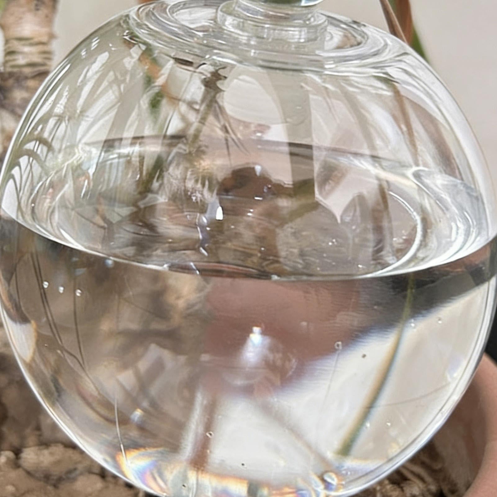 Bombillas de riego de plantas, dispositivos de riego de plantas, 4 globos de agua con tapa y apertura recargable, de cuidado botánico autohidratante para mantener la humedad y