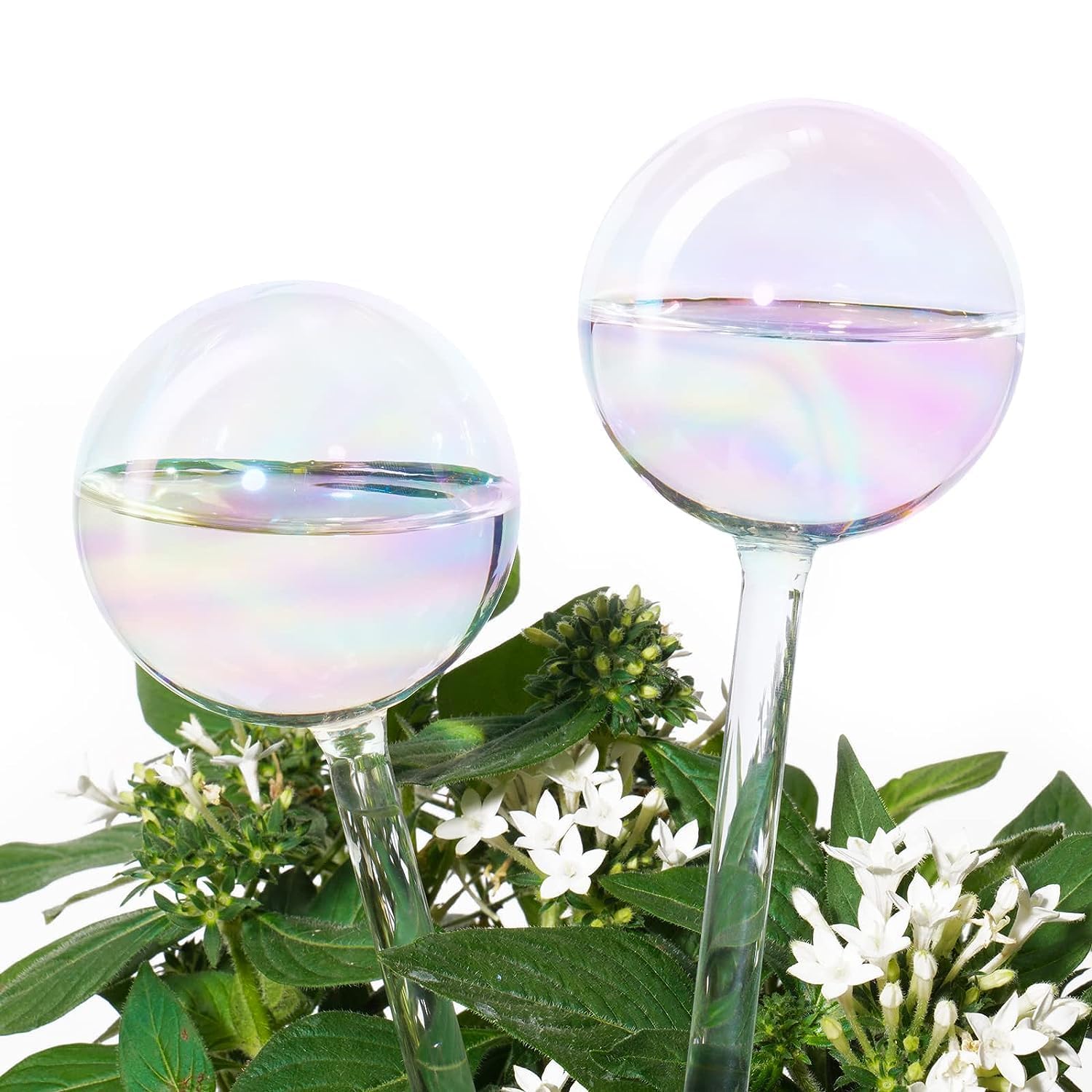 2 PCS Plant Watering Globes, Light Iridescent Rainbow Gradient Color Clear Glass Self-Watering System Spikes, Automatic Plant Waterer Bulbs