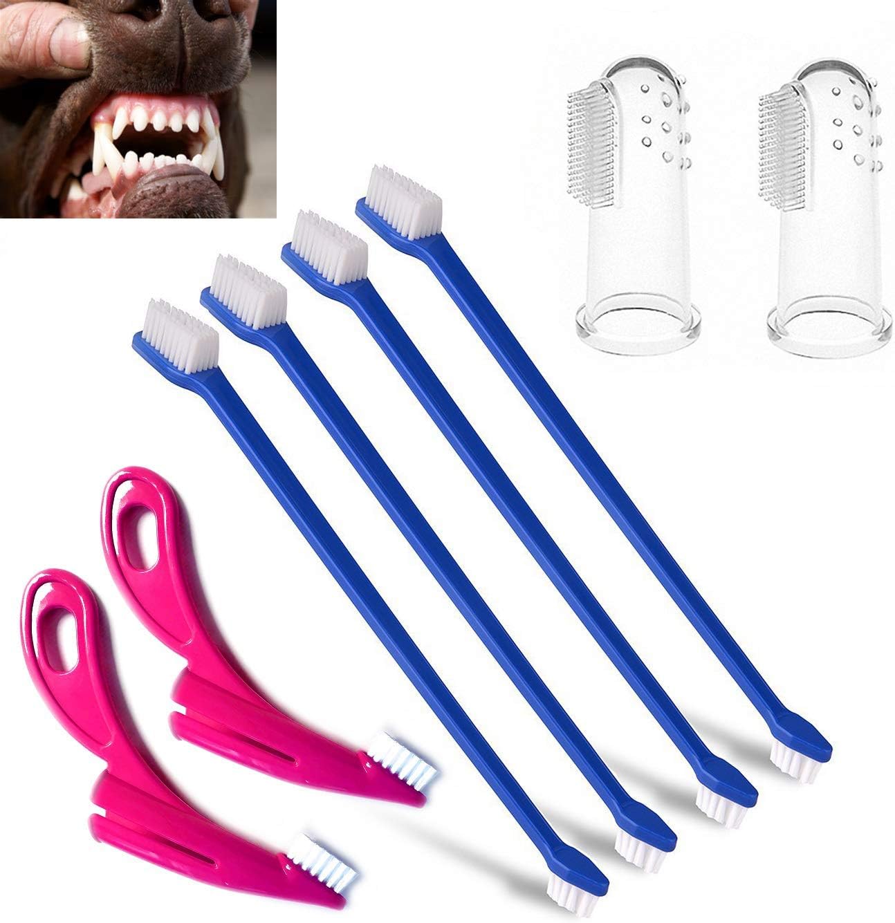 ASNME Dog & Toothbrush Set, 4 Pack Finger Toothbrushes and 4 Mini Long Handle Dual Headed Toothbrush for Dogs