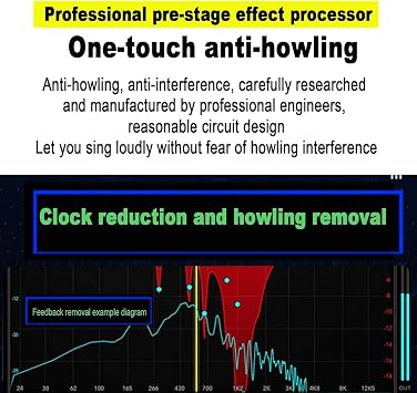 Professional Digital Audio Processor, Karaoke pre-Stage Effector