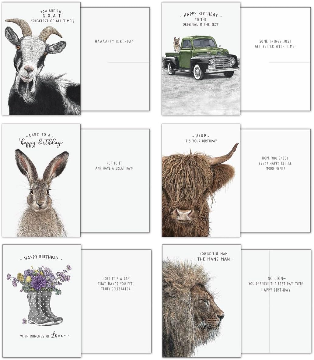 Leanin' Tree - Life In Pencil - Made in USA - 20 All Occasion Cards Assortment Box with Envelopes, Greeting Cards Assortment Box, Includes Birthday, Thank You, Blank, Encouragement, Friendship and Get Well