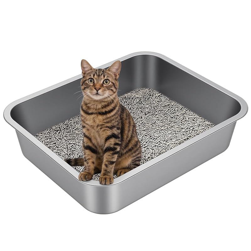 Caixa de Areia Grande para Gatos em Aço Inoxidável com Laterais Altas Idymere 50,01 x 35 x 10,01 cm, 1 unidade