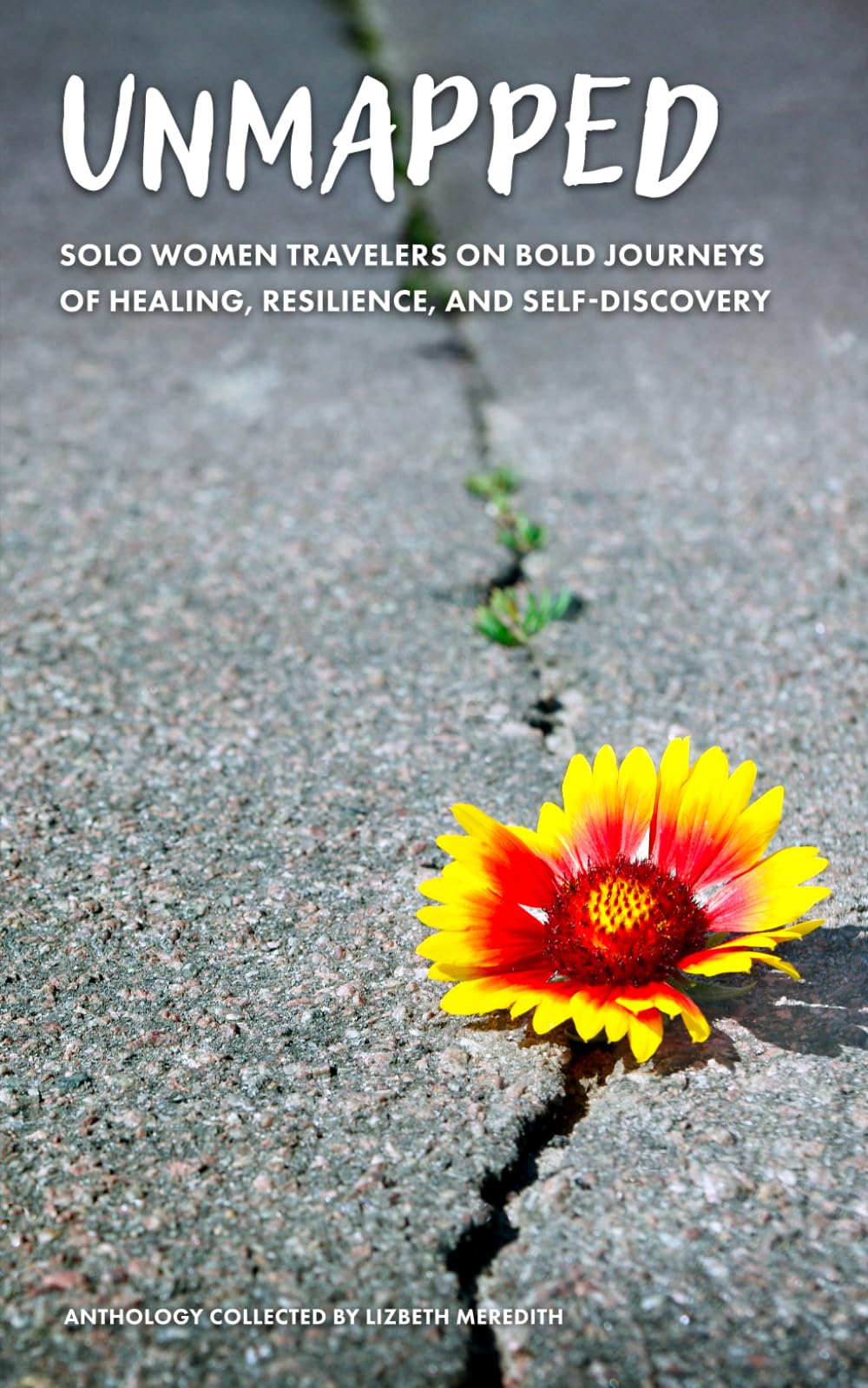 Unmapped: Solo Women Travelers on Bold Journeys of Healing, Resilience, and Self-Discovery