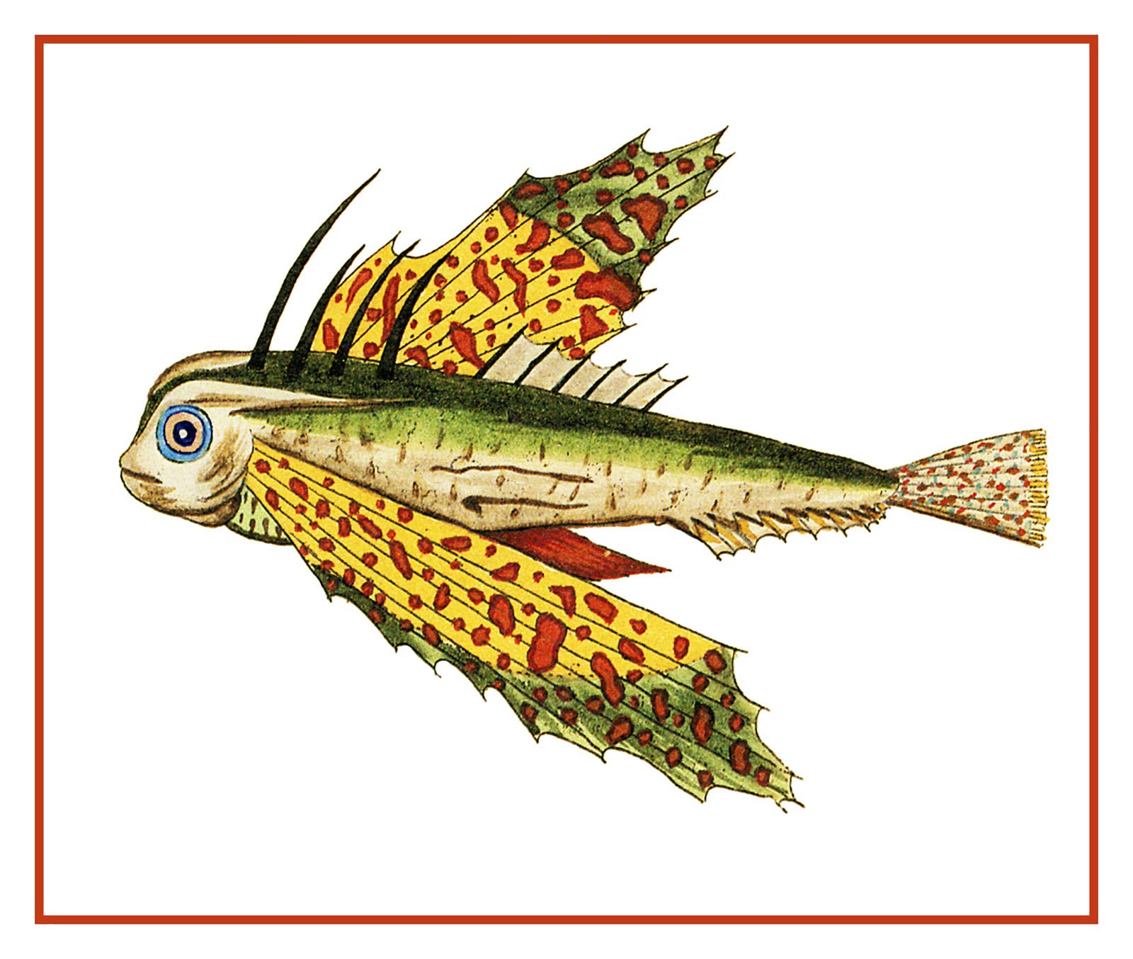 Orenco Originals Fallour's Renard's Tropical Fish 40 Counted Cross Stitch Pattern