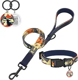Kit Guia + Coleira Ajustável Para Pitbull e Cães de Médio Porte | Coleira 33–51 cm | Guia 1,5 m | Acolchoada | Identificação QR Code