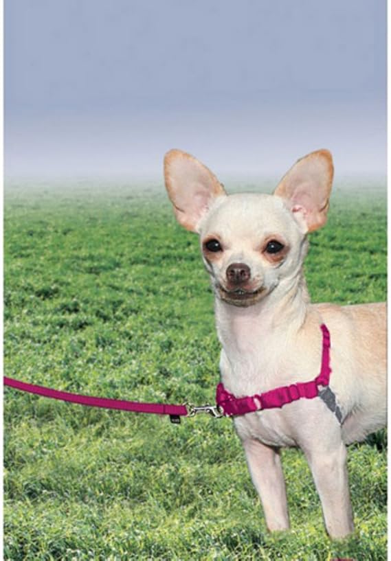 Easy walk harness petite Clearance