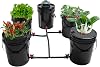 DWC Hydroponic System Kit, 5 Gallon Deep Water Culture Growing Kit with 5 Planting Buckets & 5 Covers & 12W Air Pump for Indoor Outdoor Garden Greenhouse Balcony