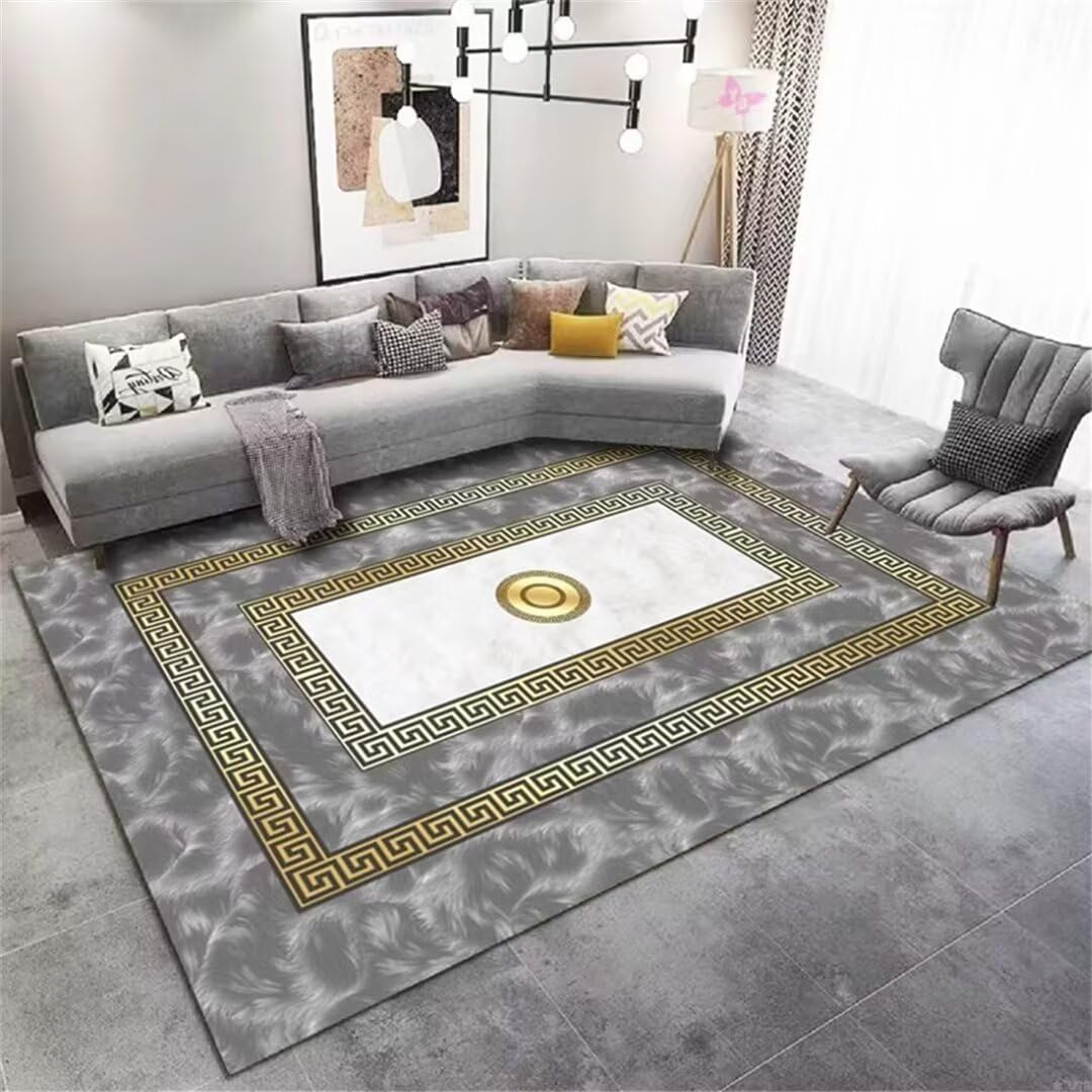 Alfombras salon grandes gris de 180X280Cm lavable para comedores modernos