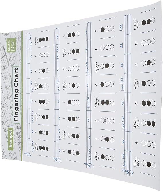 Trumpets Note Reference, Trumpet Chart Fingering Practice Scale Poster for Home(Trumpet Chord Chart (Large Size))