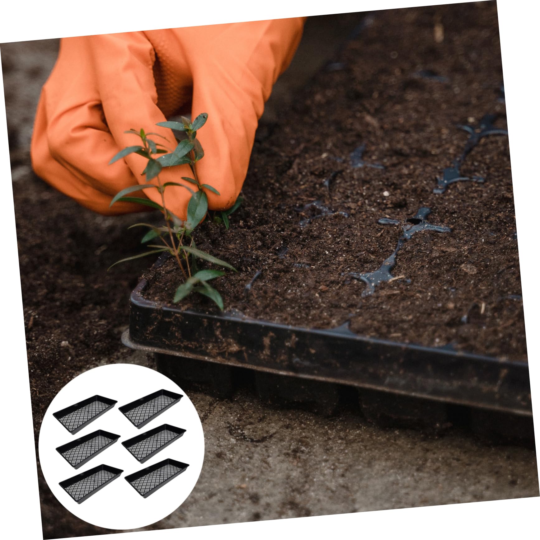 VANZACK 6pièces Plateau de Germination à Fond Creux Lot pour Pépinière et Semis Conteneurs de Plantation Socle de Germination