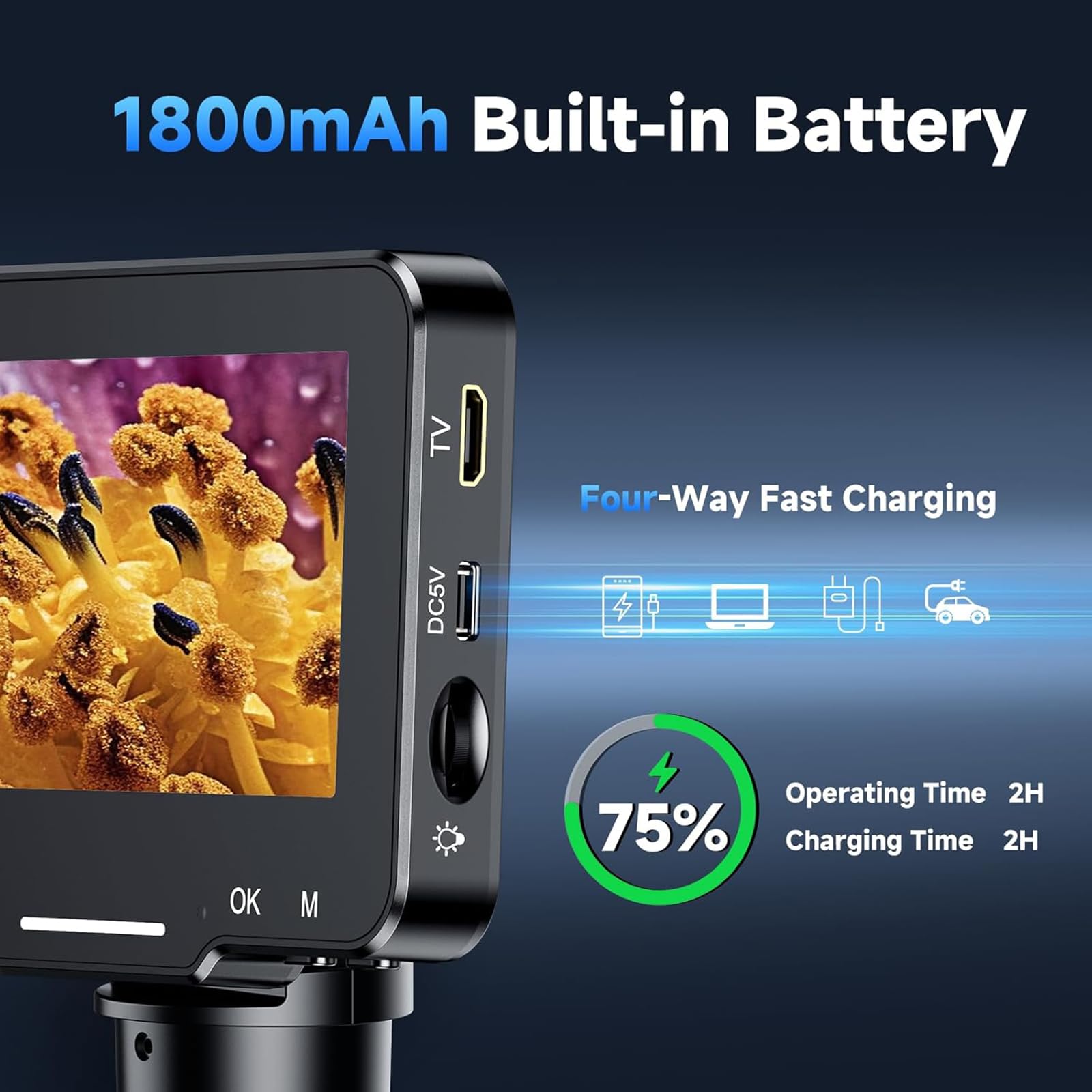 Microscopio digitale a moneta con schermo da 7 pollici, connessione USB per visualizzazione PC, alto ingrandimento 1080p, per adulti e collezionisti