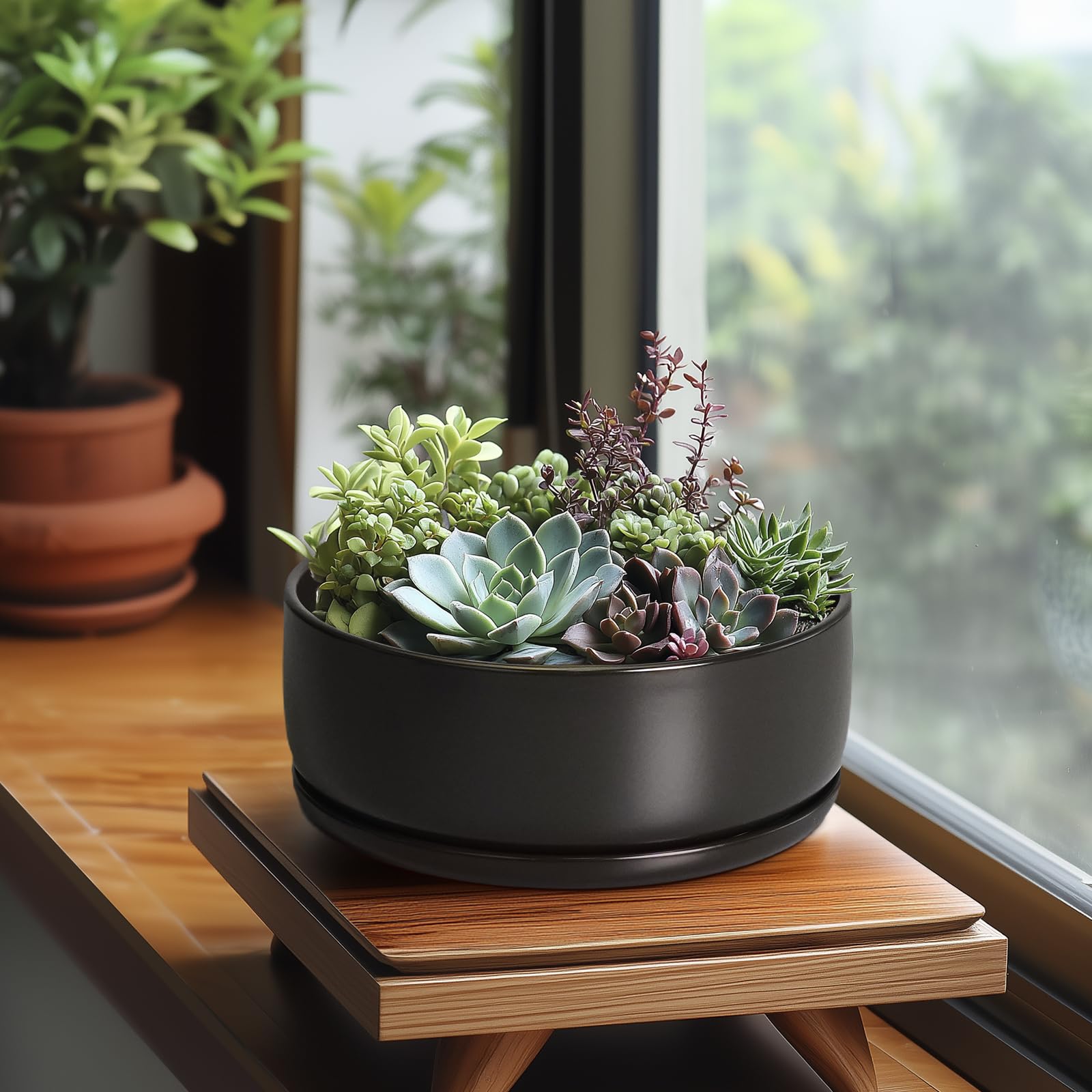 SQOWL Bonsai-Töpfe – 20,3 cm Keramik-Pflanztöpfe für Sukkulenten, runder Indoor-Pflanztopf mit Ablaufloch und Untersetzer, Flache Moderne Pflanzschale, Raumdekoration, Schwarz