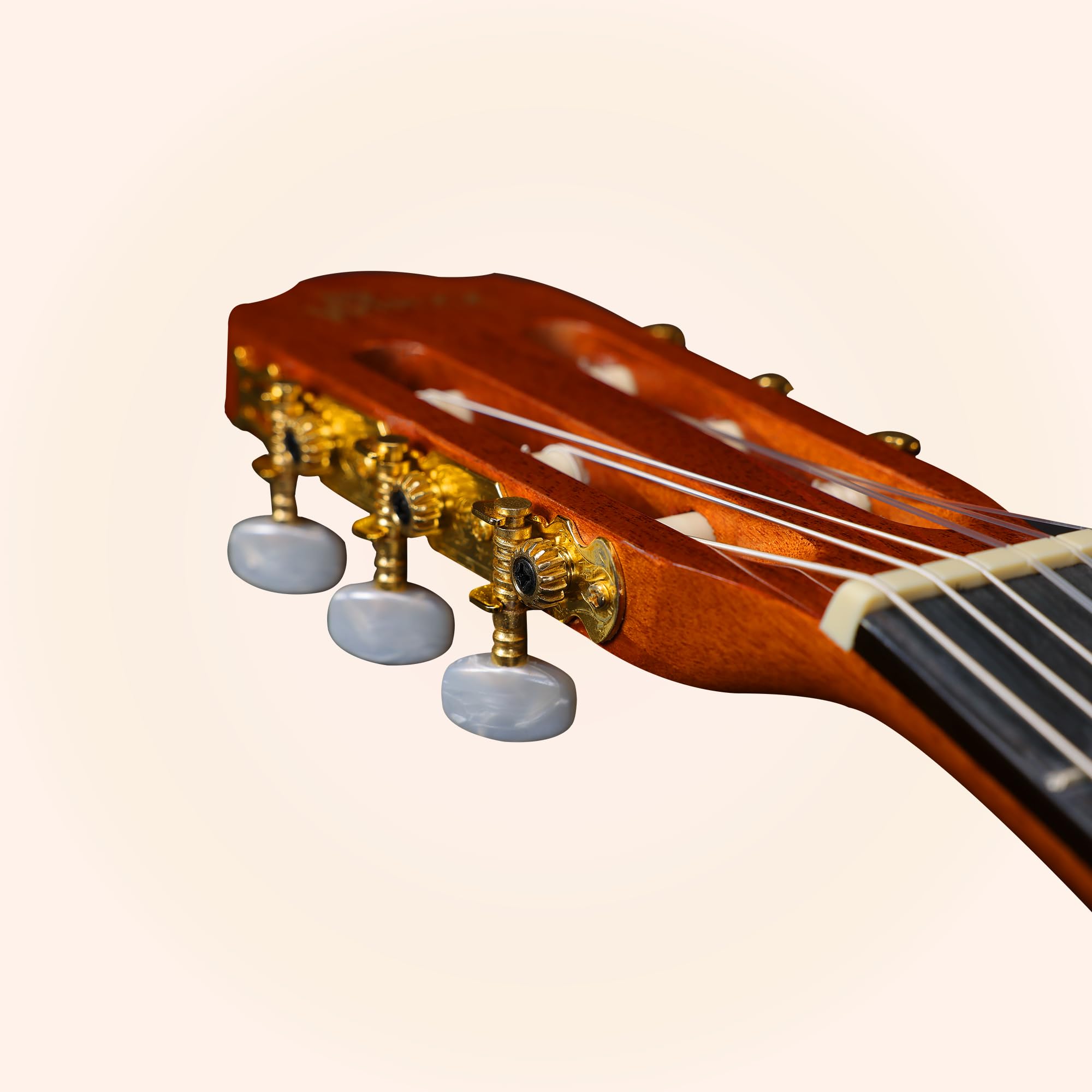 大幅値下げ！The Classical Guitar A Complete Amazon.com: Classical Guitar Full Size 4/4 Spanish Style Classical