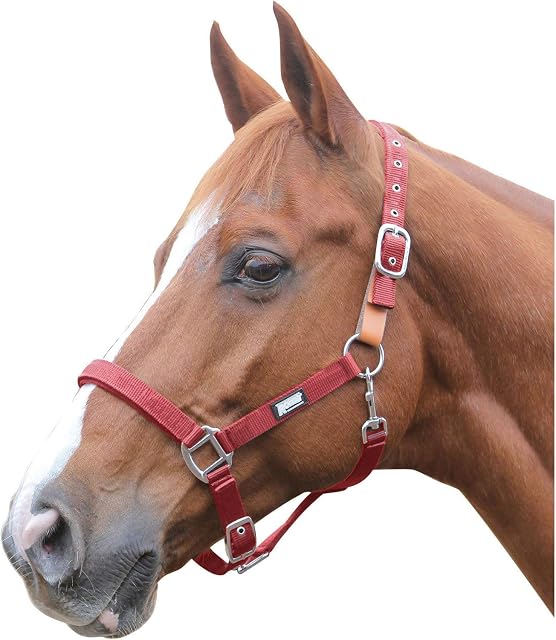 ROMA BREAKAWAY HEADCOLLAR II RED COB