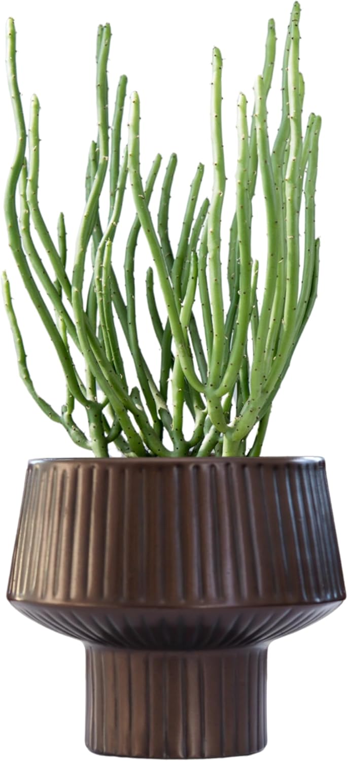 Wide Top Modern Handmade Metal Indoor Planter with Unique Shape, Vertical Grooved Design and Anti-Scratch Pads, Rust-Resistant Finish that is Sustainable Non-Plastic Pot Recyclable Metal Vase (Copper)