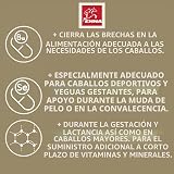 Ver la foto 7