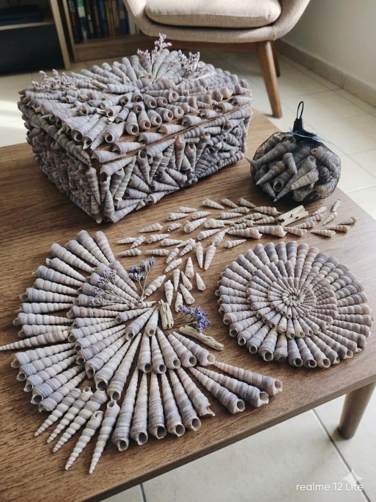 32 Adet Deniz Kule Salyangozu,Denizden Ev Dekoruna En Güzel Tasarımlar İçin