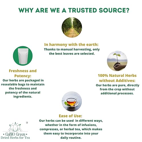 Miniatura 3 de Hoja de guayaba Premium 220 hojas (4.4 oz  124.7 g) Hojas de guayaba secas enteras 100% naturales.