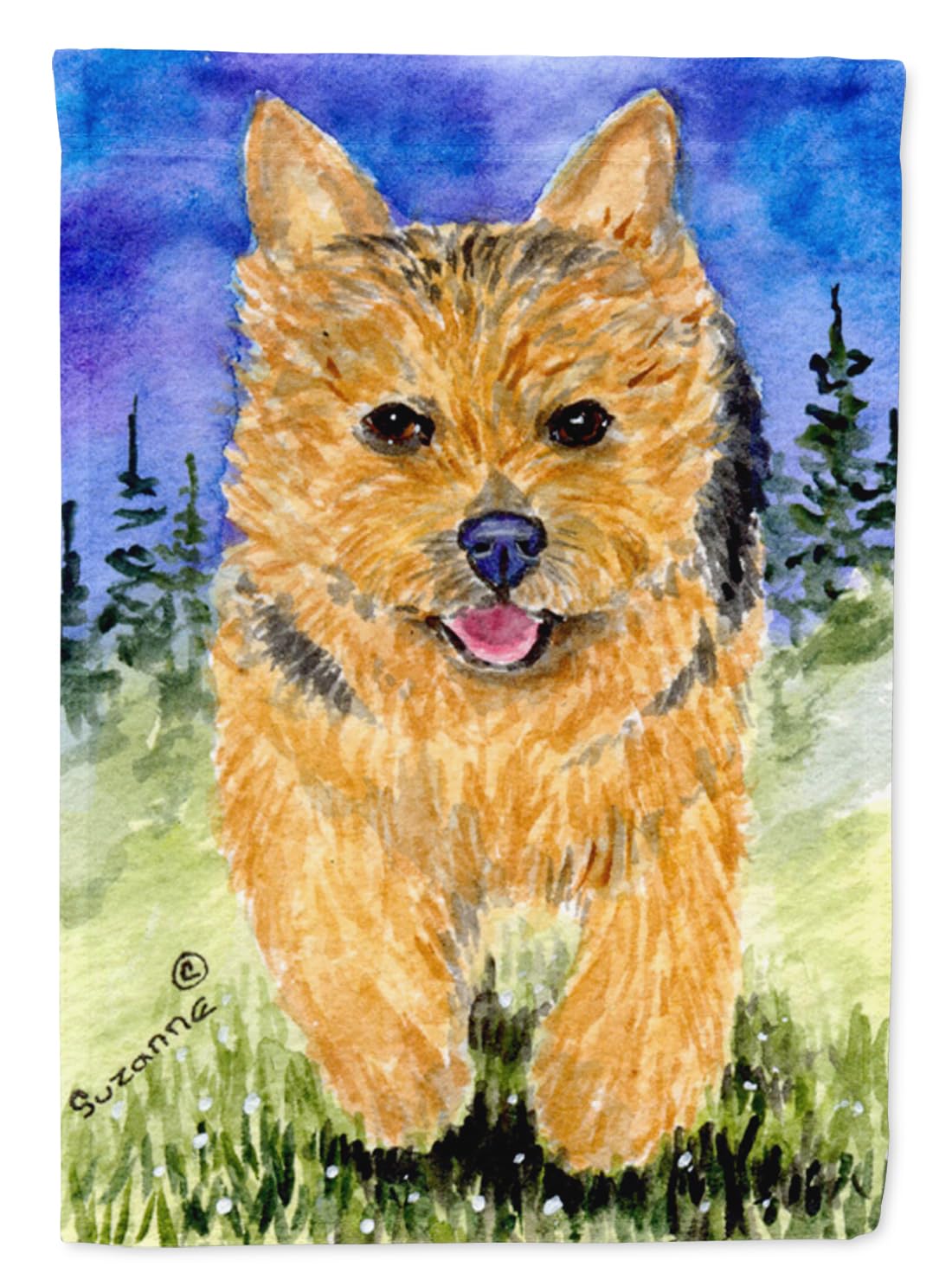 Norwich Terrier grand drapeau extérieur résistant aux intempéries pour maison