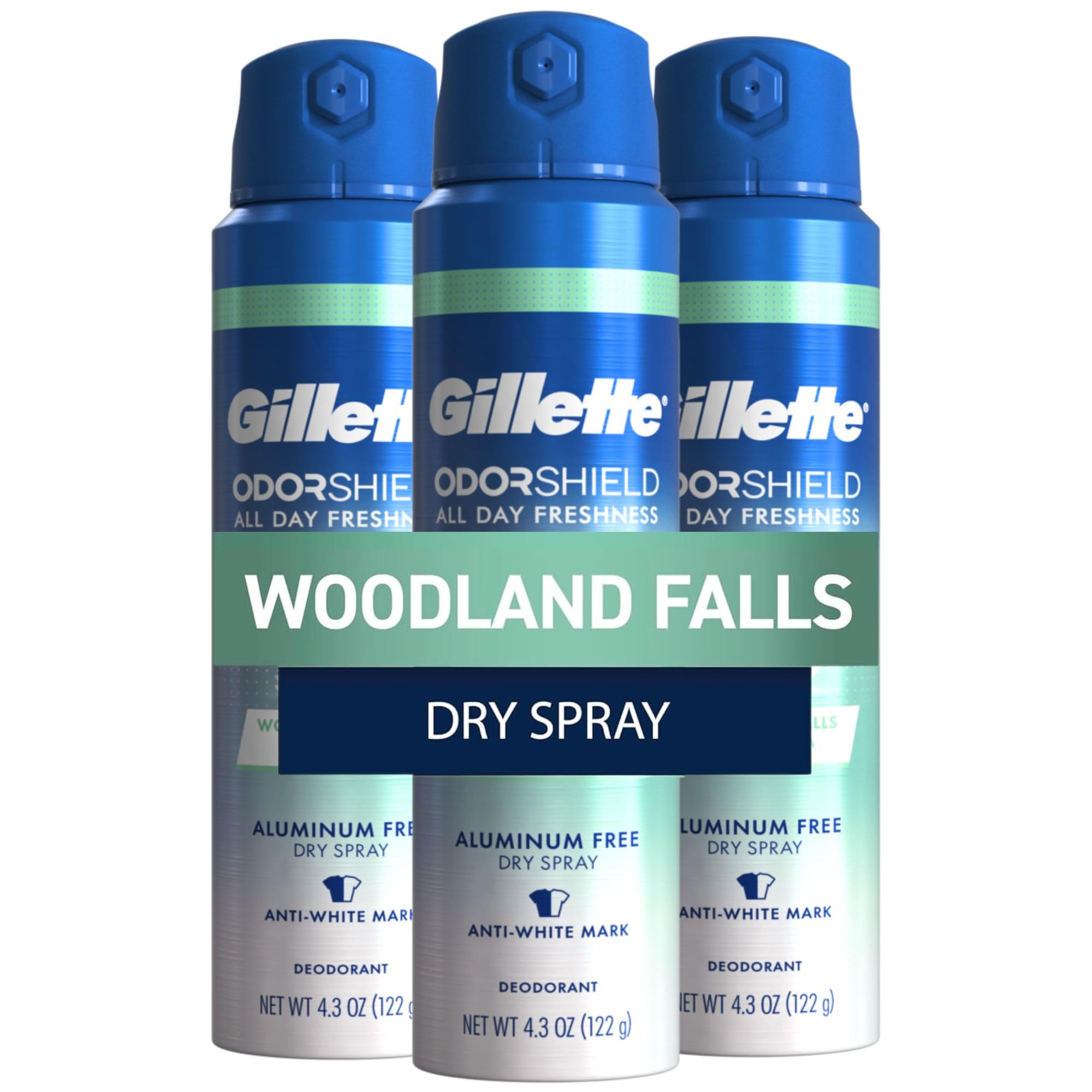 Gillette Aluminum Free Dry Spray Woodland Falls
