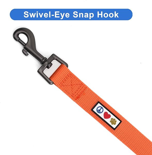 PAWTITAS Pawtitas Solid Orange Dog Leash and Cat 1.8 Meters for 2X- Small Breeds Laisse Dog Pour Chien ou Chat in use