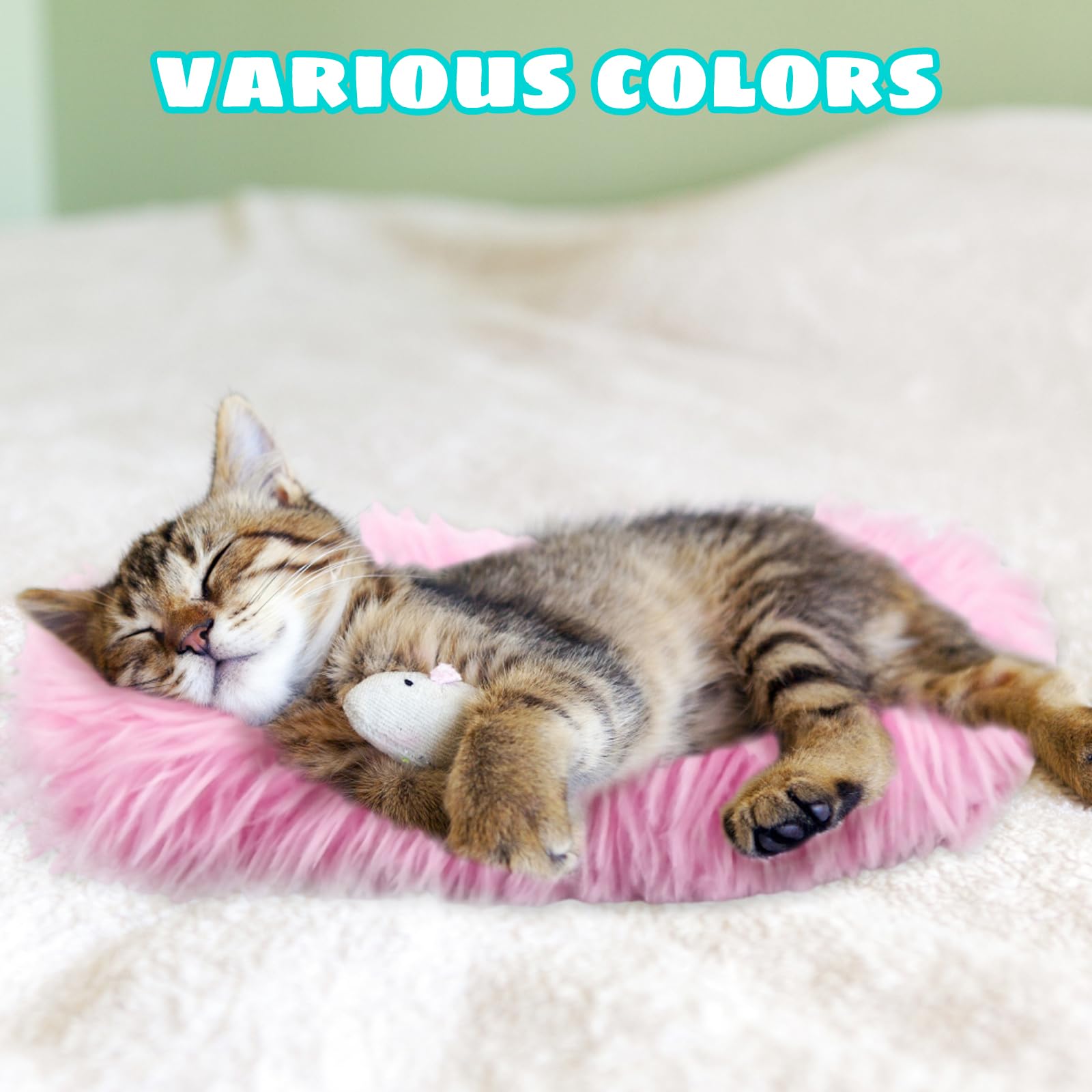 ZeBQrphio Catnip Toys - Image 4