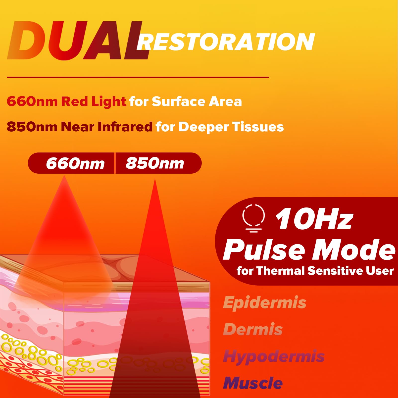 Elfeye Rotlichtlampe Therapie Gürtel Infrarotlampe 660nm Red Light Therapy Belt 850nm Infrared Rotlichtlampe Therapie Zur Linderung Entzündungen, Gelenk- und Rückenschmerzen Infrarot Matte mit Timer