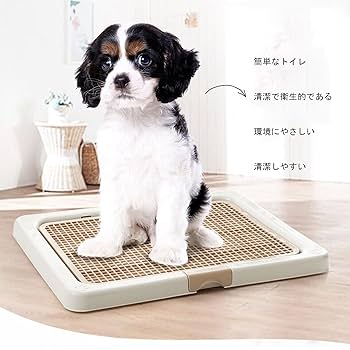 Amazon | 犬トイレ トイレトレー しつけ用 ドッグトレー専用