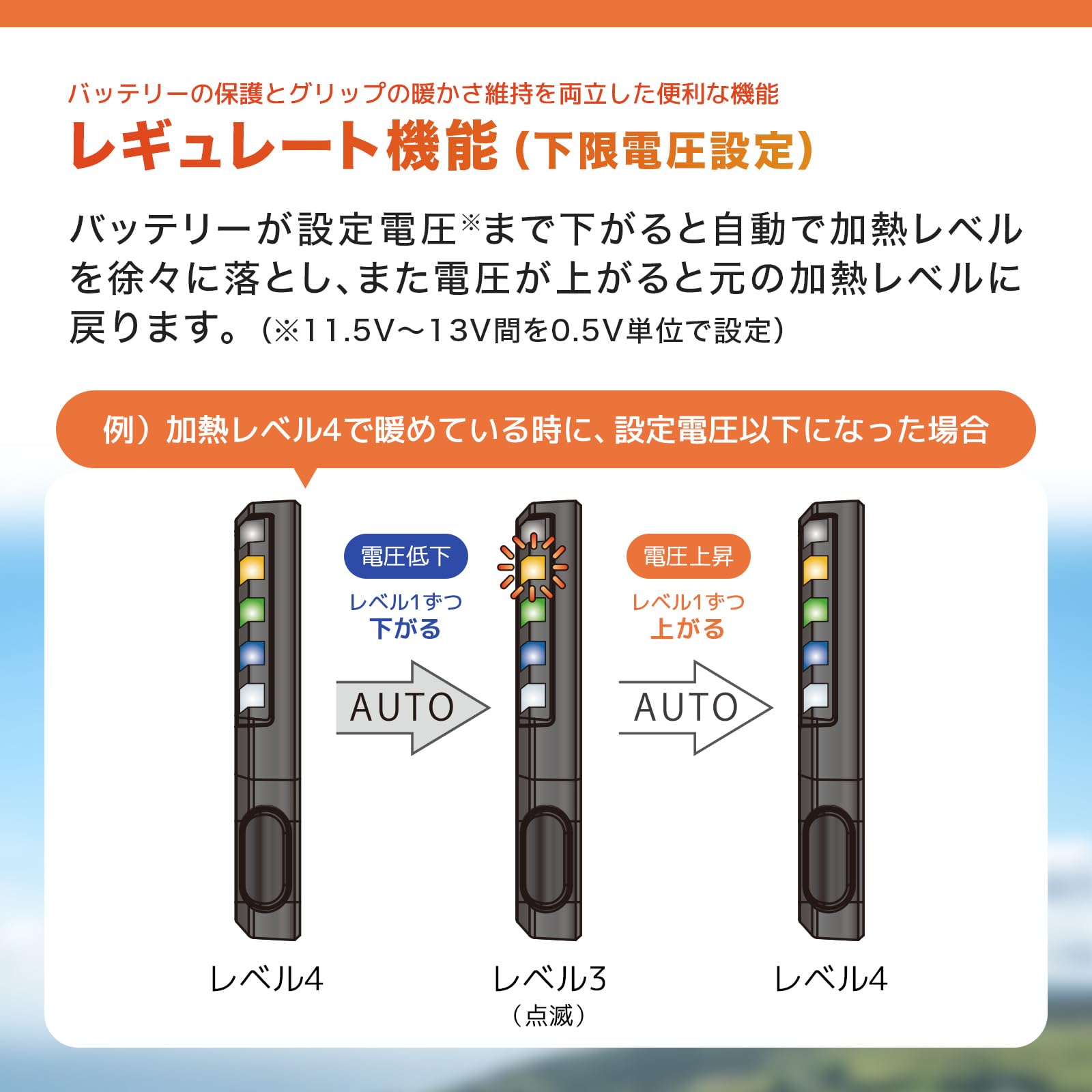 Amazon | エンデュランス (ENDURANCE) バイク Ninja ZX-25R ZX250E
